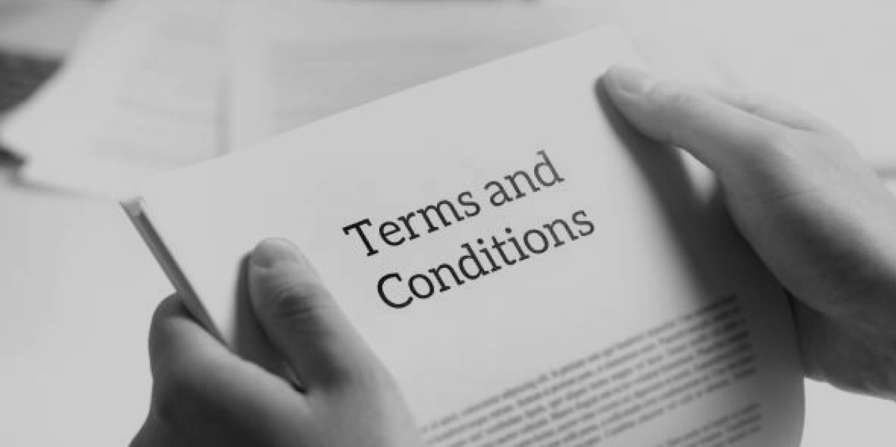Capital Expert Services - Terms and Conditions